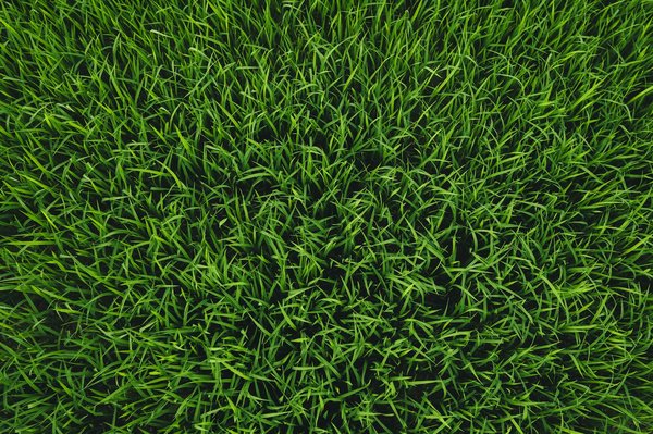 Débarras paris : simplifiez votre vie avec un service écolo